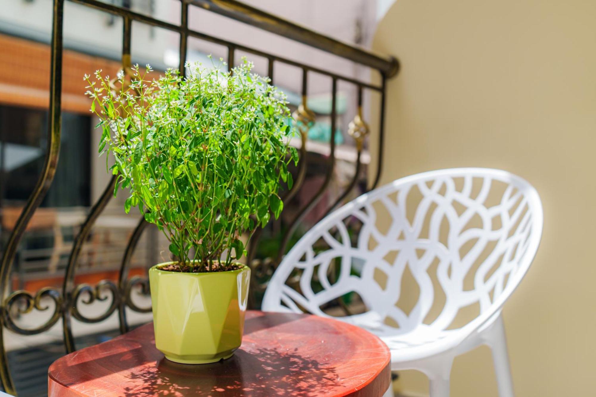Co Chau Homestay Cidade de Ho Chi Minh Exterior foto